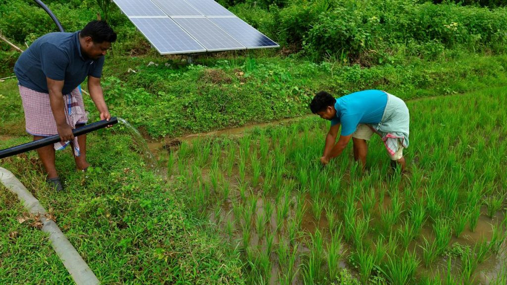 Budget 2026: Karnataka to push renewable energy with new scheme under KUSUM-C model, boost solar and EV charging infrastructure