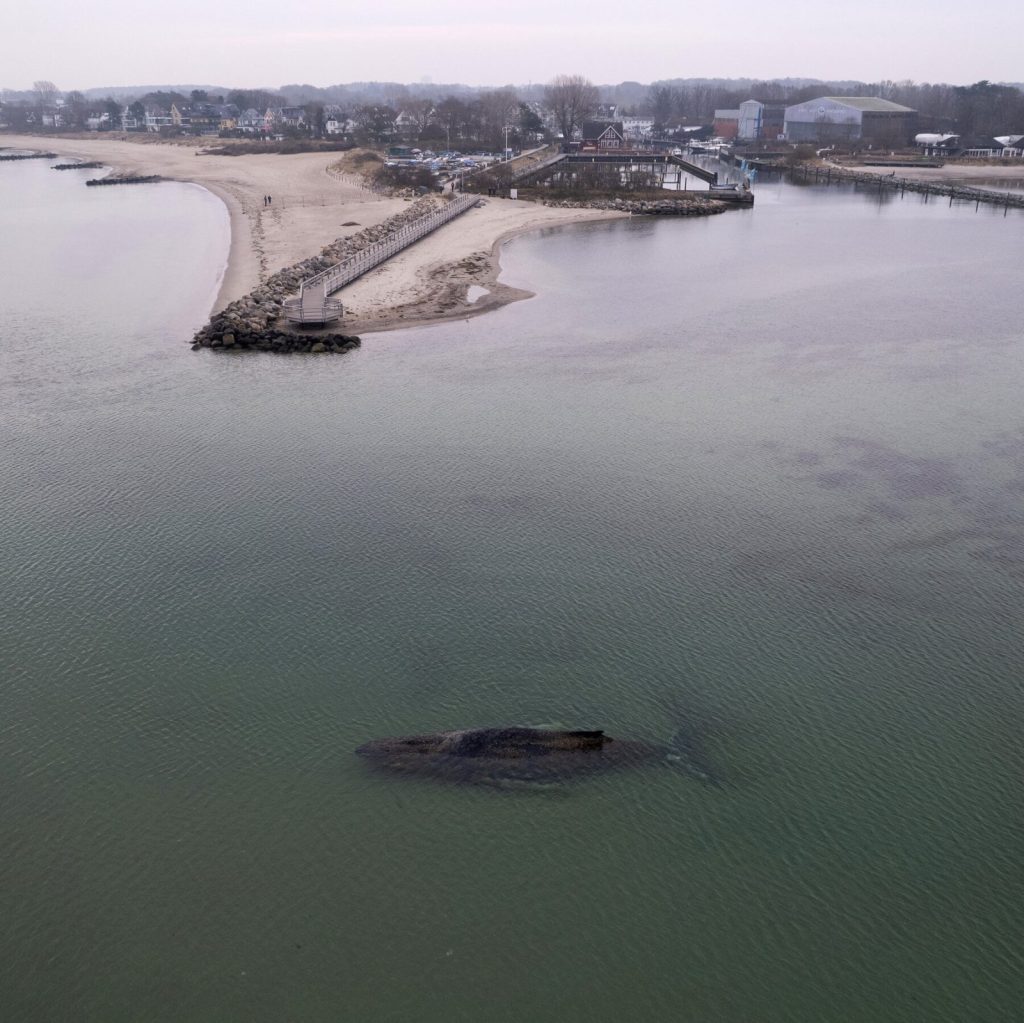Rescuers Work to Save a 32-Foot Humpback Whale Trapped in the Baltic Sea