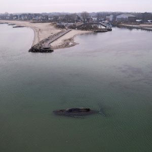 Rescuers Work to Save a 32-Foot Humpback Whale Trapped in the Baltic Sea