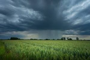 Central Florida Rain