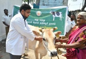 Vaccination Drive