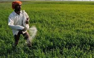fertiliser