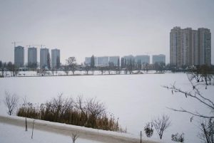 winter snow