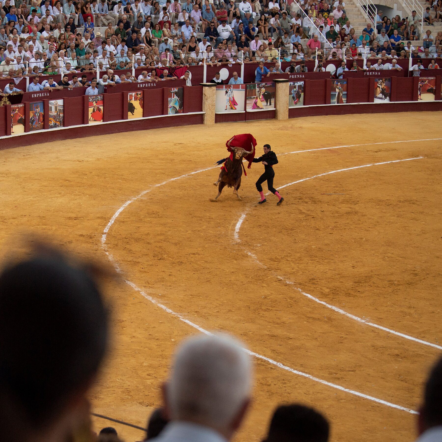 Tragic Accident Unfolds at Iconic Spanish Bullfight as Former Matador Dies in Sudden Goring