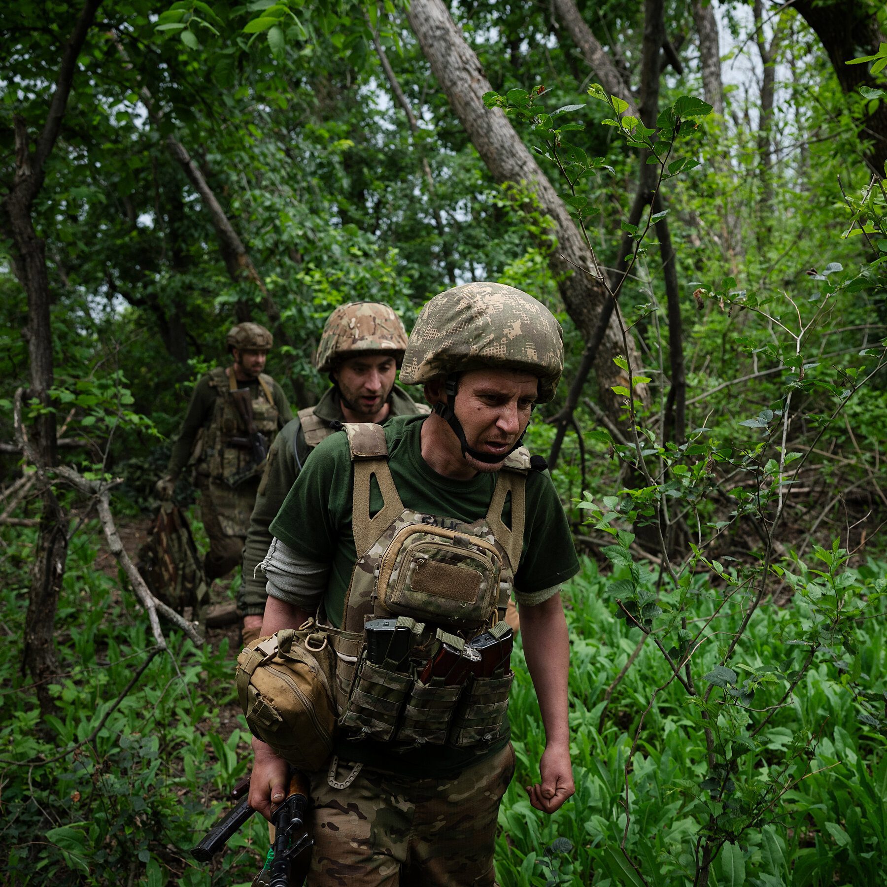Russia Prepares to Utilize Vegetation as Cover for Spring Offensive in Ukraine