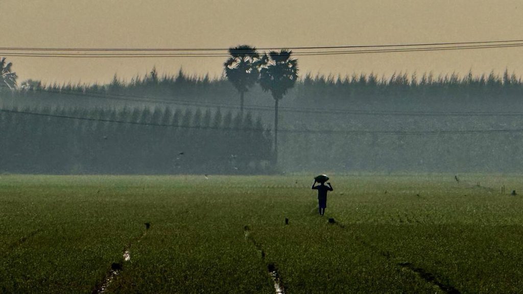 T.N. election: AIADMK’s promise of crop loan waiver raises questions of feasibility