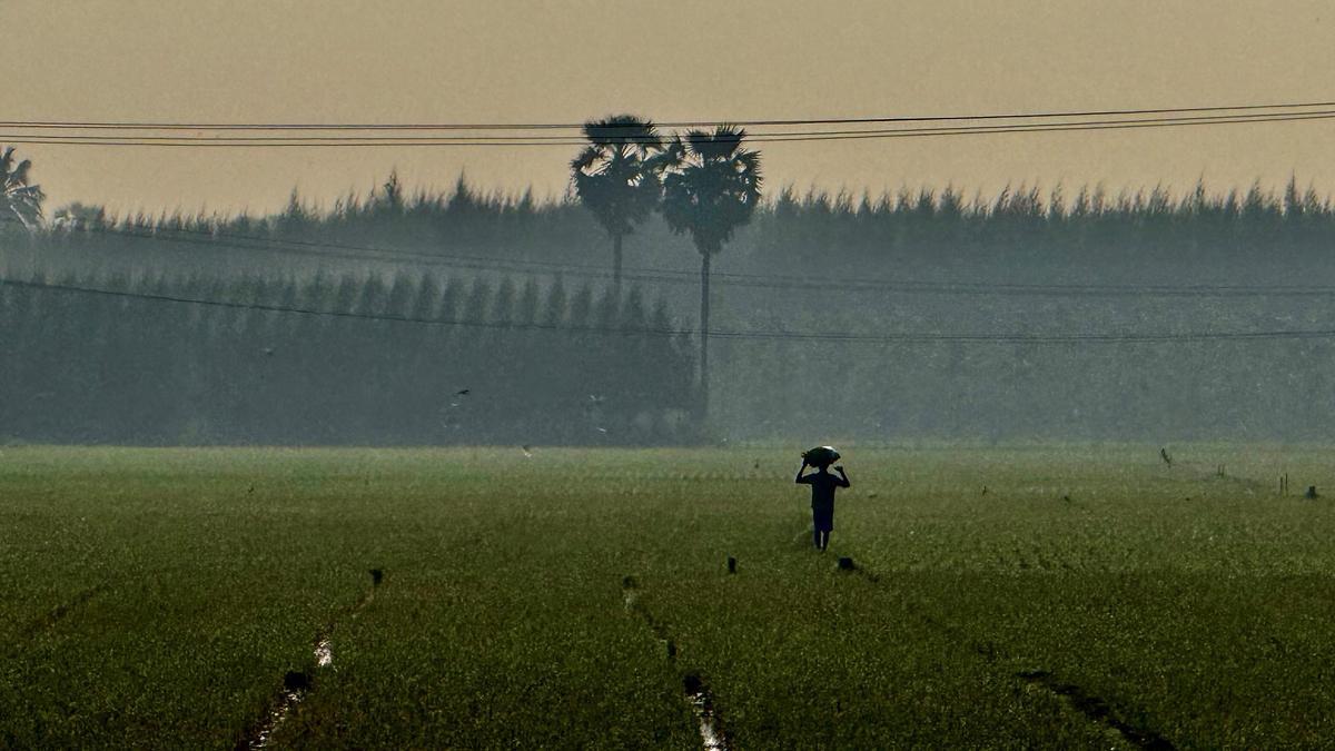 Tamil Nadu Election: AIADMK’s Crop Loan Waiver Promise Sparks Feasibility Debate