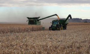 Black Farmer $300 M USDA