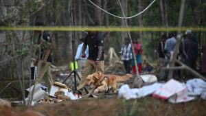 Kerala fireworks accident: 9 victims identified; fireworks-free Thrissur Pooram under consideration