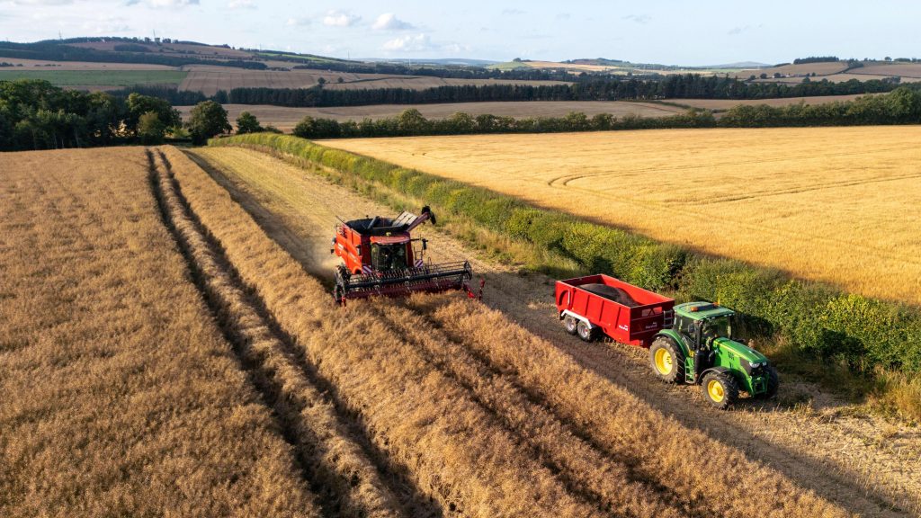 business farmer