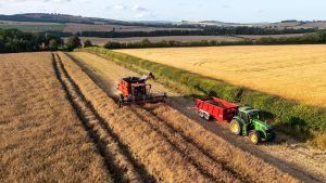 business farmer