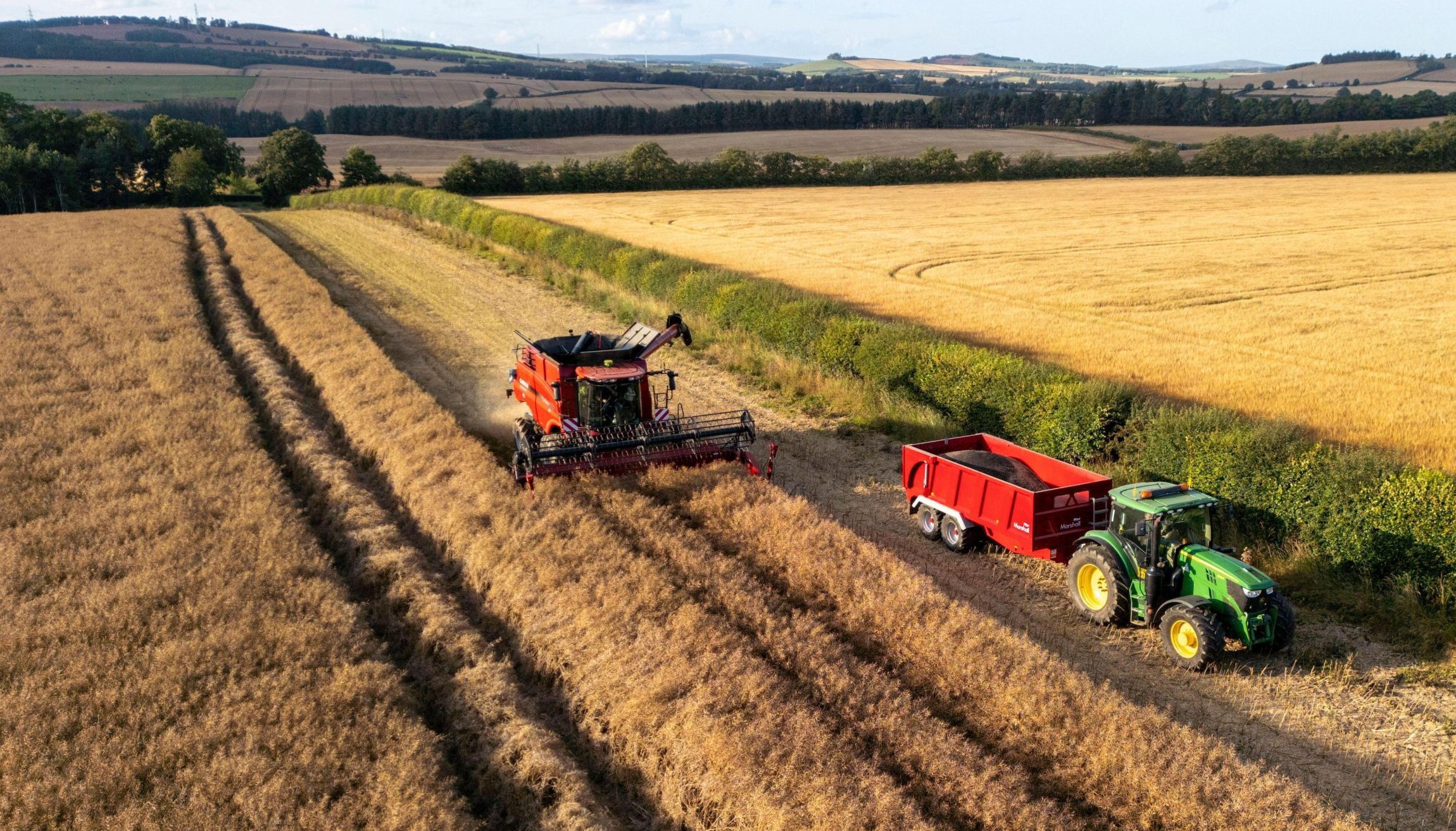 UK Farm Inheritance Tax Reform Sparks Widespread Concern Among UK Family Businesses and Farmers