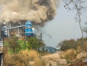 vedanta plant