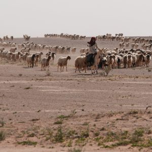 In Iraqi Desert, Two Israeli Outposts Were Kept Secret for Months
