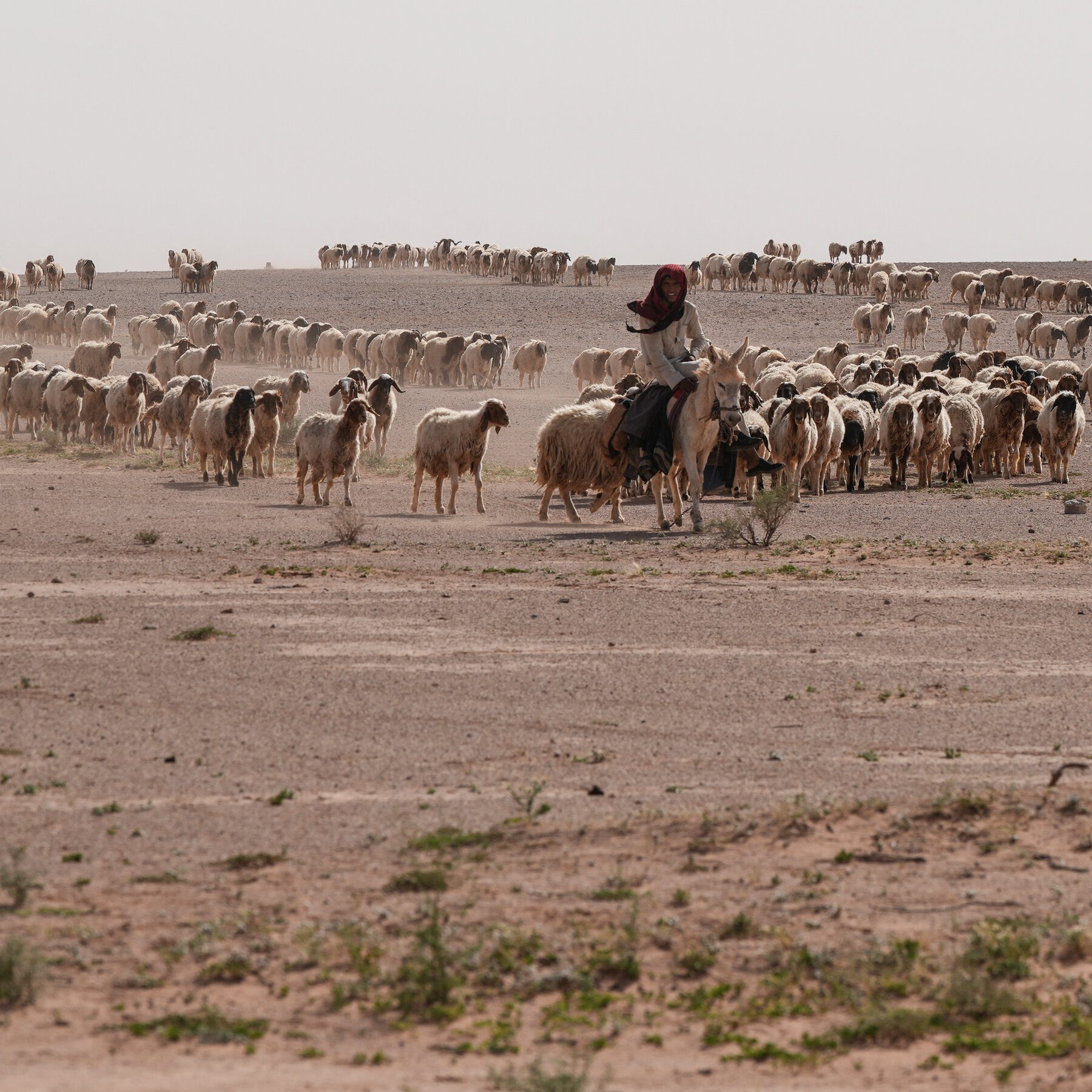 Israel Secretly Establishes 2 Military Outposts in Iraqi Desert Near Iran Border