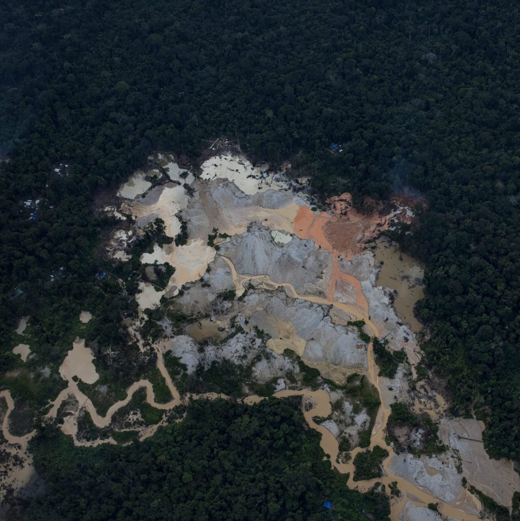Global Demand for Rare Earth Minerals Is Intensifying Criminal Threats in the Amazon Rainforest