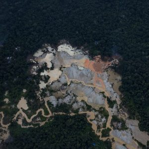 Global Demand for Rare Earth Minerals Is Intensifying Criminal Threats in the Amazon Rainforest