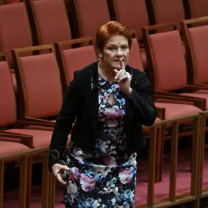One Nation Wins Australia Special Election, Claiming Seat in Lower House