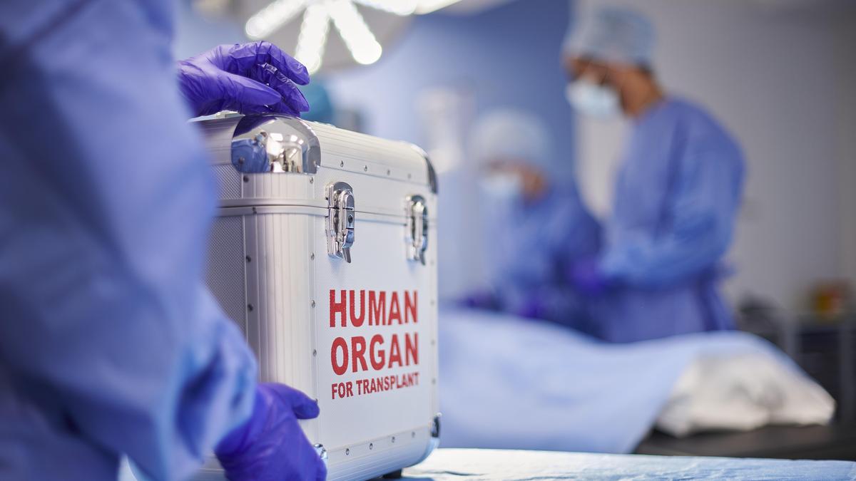 Madras High Court Allows Organ Donations without DNA Tests, Sparks Debate