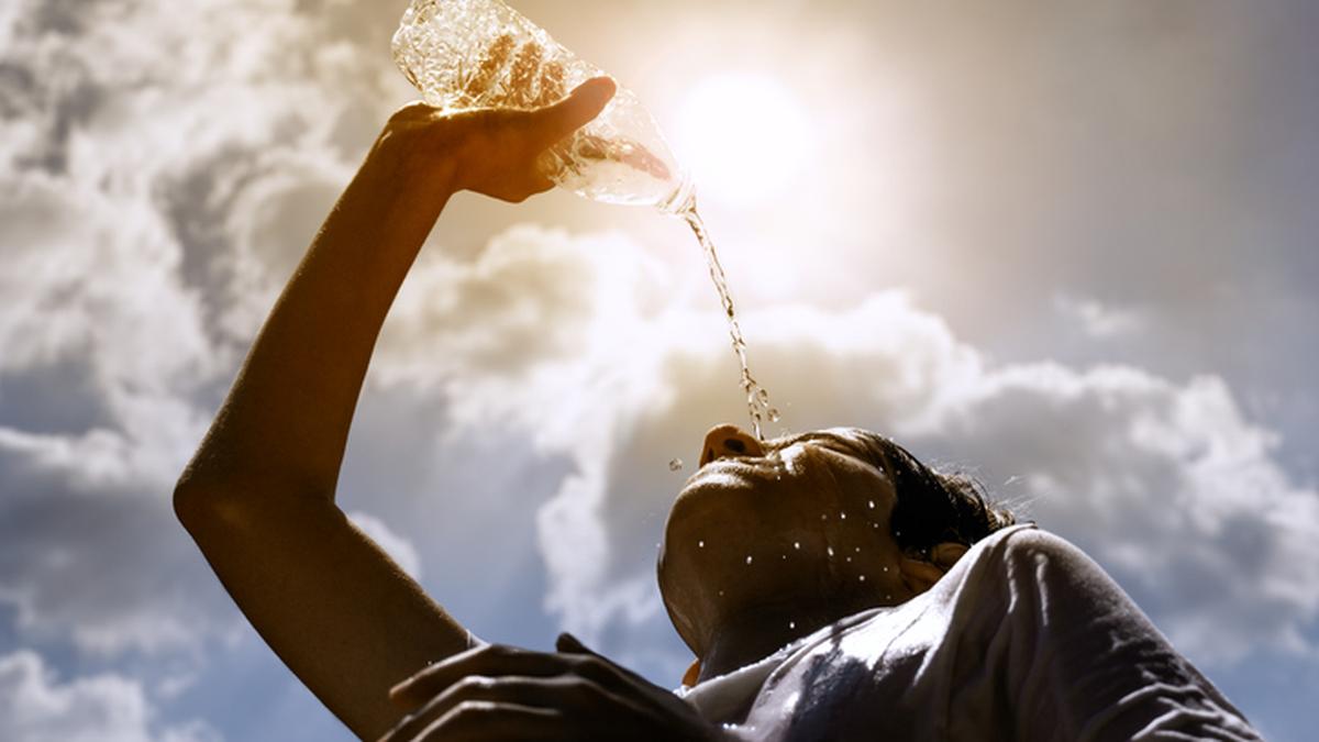 India Braces for Severe Vidarbha Heatwave as Temperatures Soar to Record-Breaking Highs