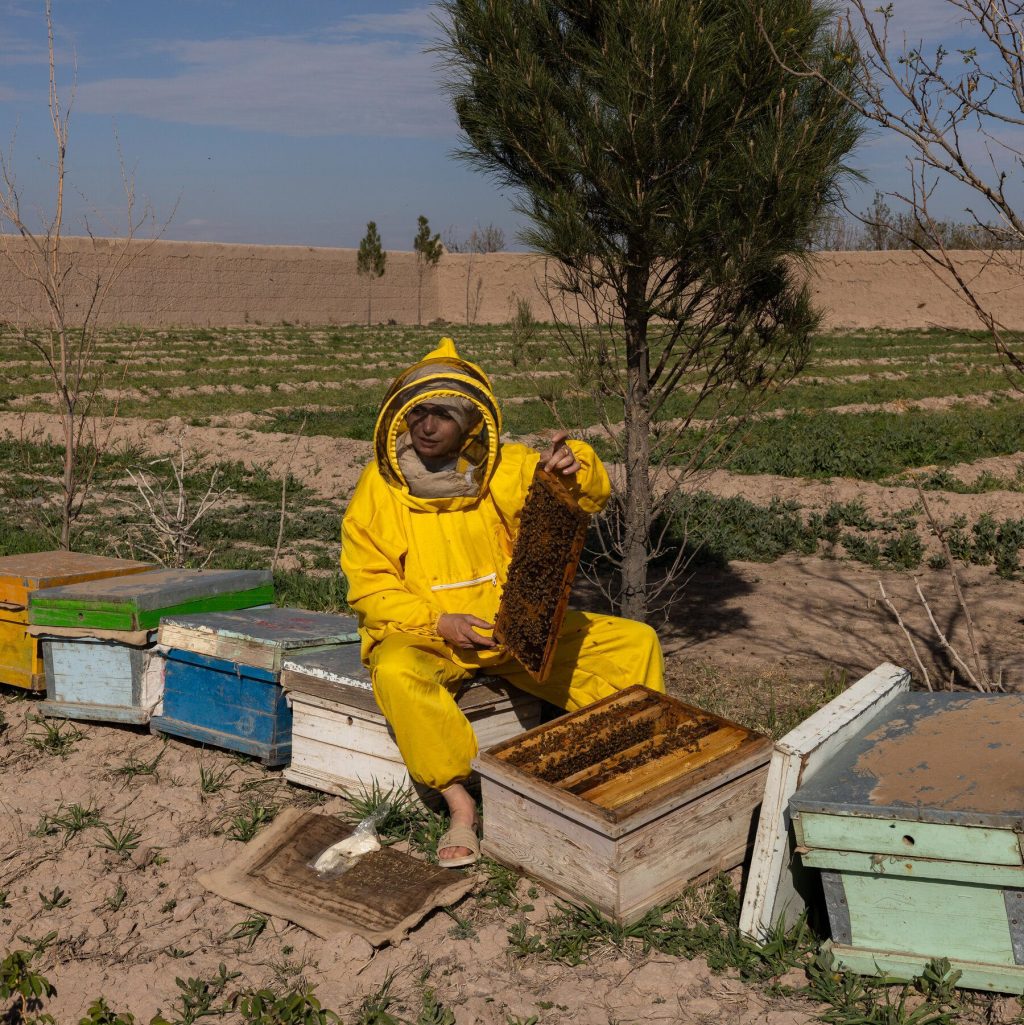 The Women Running Businesses Under Taliban Rules