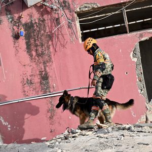 Dozens of Dogs Join Search for Venezuela Quake Survivors