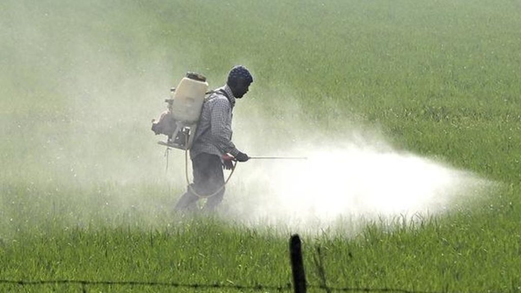 535 farmers died due to unsafe pesticide use between January 2024-2026 in Rajasthan