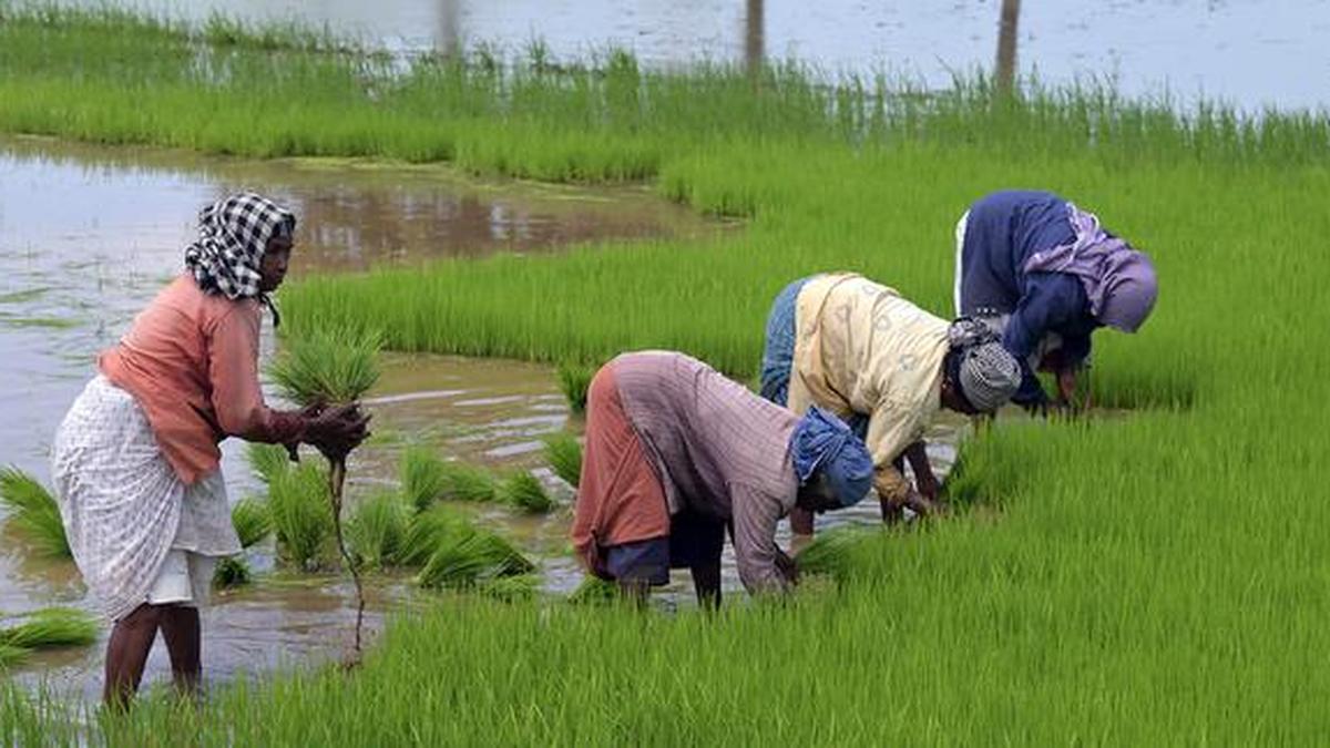 Monsoon deficit at 43% in June impacts Indian agriculture.