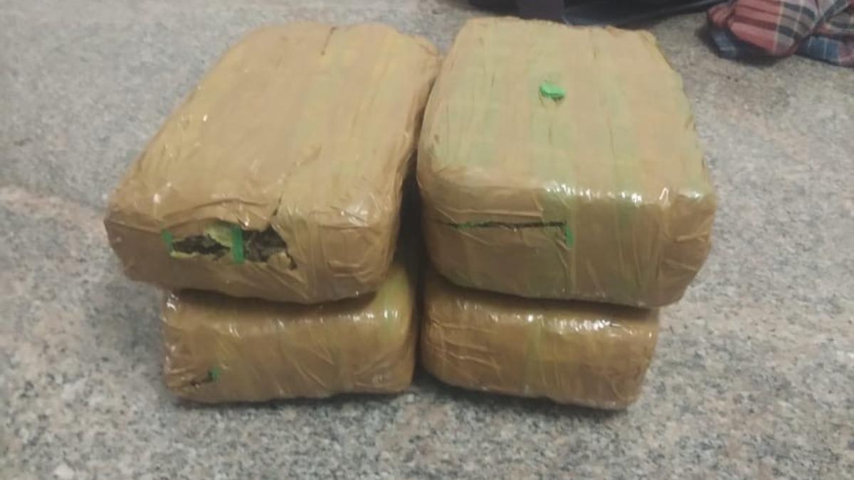 GRP seize 12 kg of ganja at Jolarpet railway station.