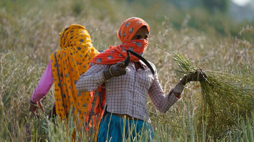 Maharashtra to table ‘Women Farmers Empowerment Bill’ during upcoming Monsoon Session