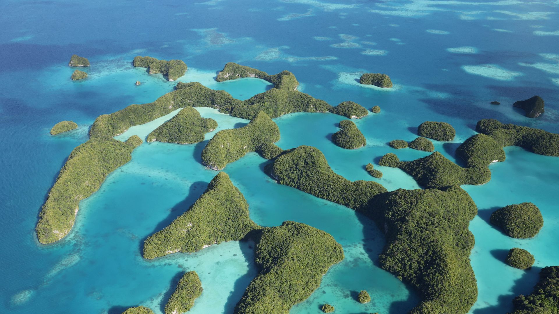 Billionaire Donates $260m to Ocean Conservation.