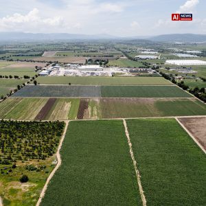 A Lettuce-Growing Region in Mexico Stomachs the Fallout From the Cyclospora Outbreak