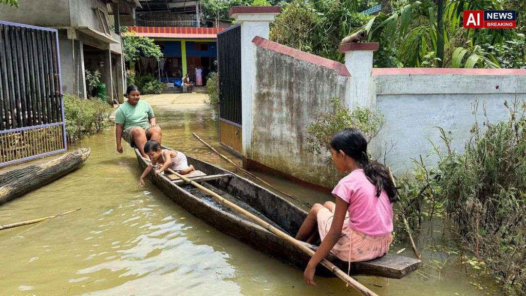 Assam floods: Relief efforts focus on animals