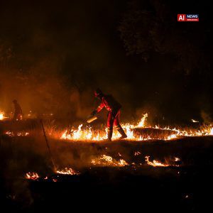 Europe experiences record heatwave