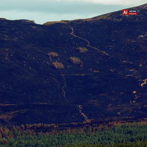 Firefighters battle Cairngorms wildfires