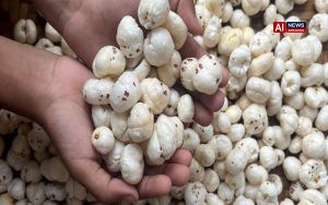 Bihar's Makhana Goes Global: First 7-Tonne Sea Shipment from Darbhanga Reaches Canada, Boosting India's Superfood Exports