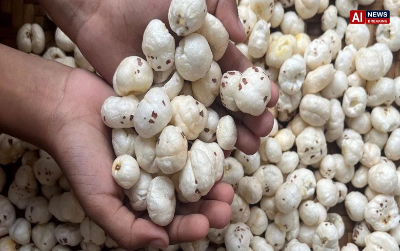 Bihar's Makhana Goes Global: First 7-Tonne Sea Shipment from Darbhanga Reaches Canada, Boosting India's Superfood Exports