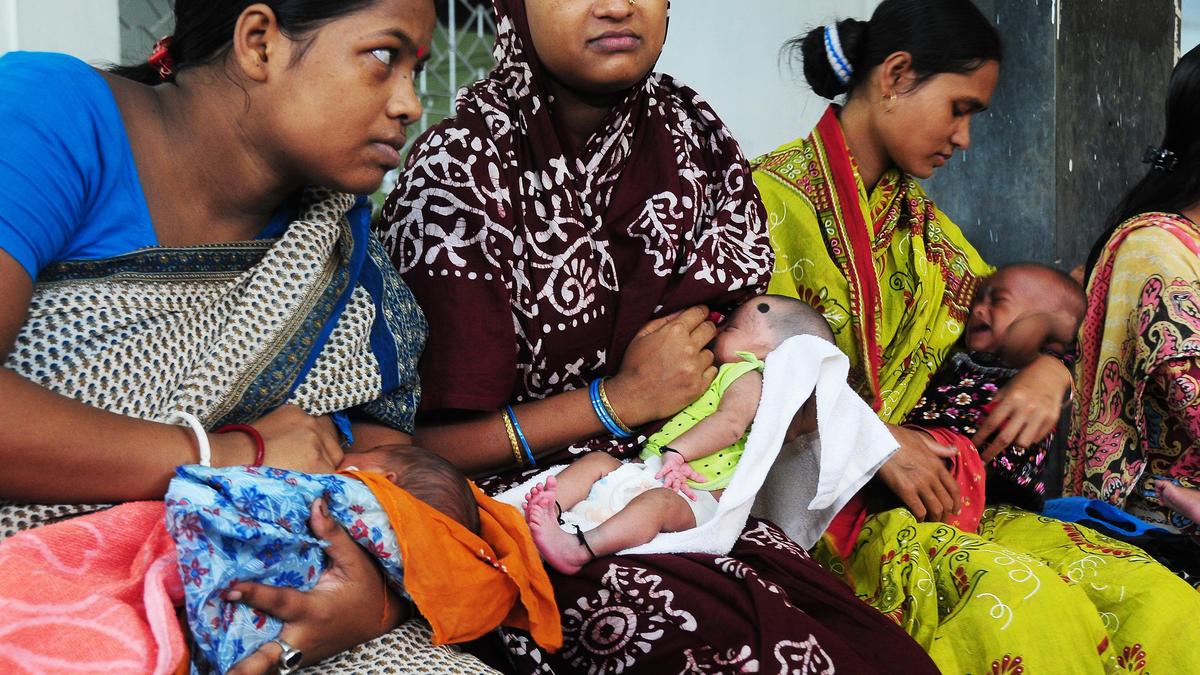 India’s Exclusive Breastfeeding Rates Decline.