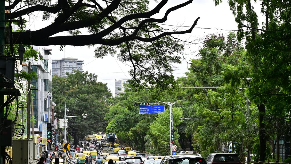 Bengaluru records 12,000 civic negligence deaths