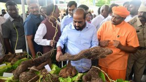 Four Ayush colleges will be set up in A.P., says Health Minister