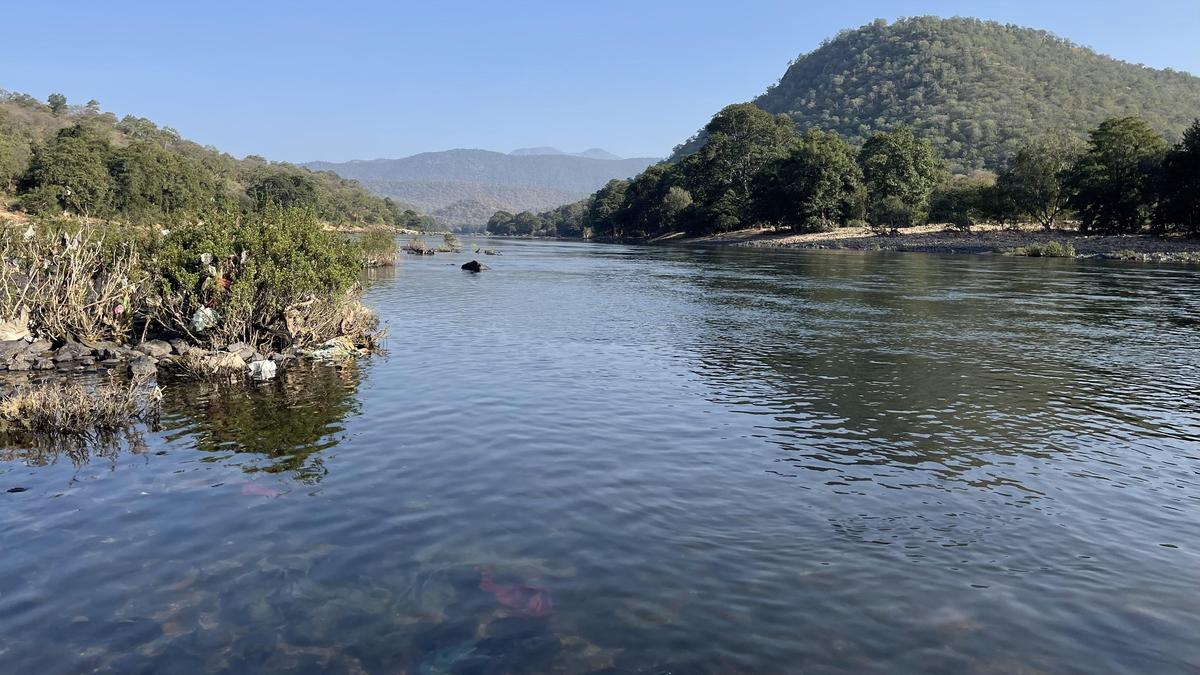 Tamil Nadu receives 2,942 m cubic feet of Cauvery water, falling short of allocated amount.