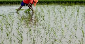 farming