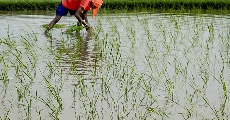 farming