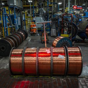 Trump Tariffs Force Some Canadian Companies to Move South of the Border