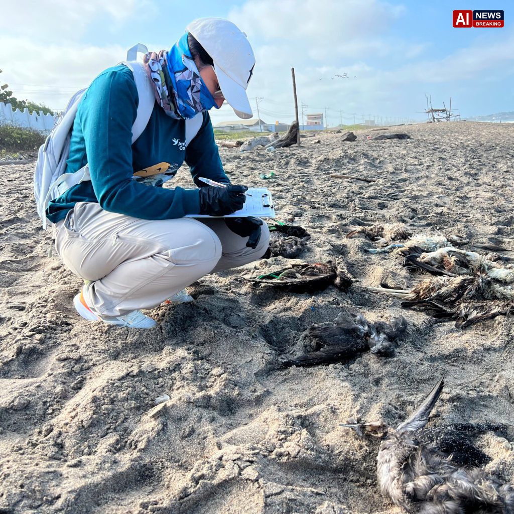 El Niño linked to seabird deaths