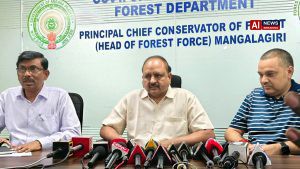 Death of two tigers: one was poached, the other died of natural causes, says high-level panel