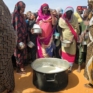 RSF Advances Towards El Obeid, Captures Key Cities in Western Sudan.