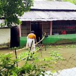 Assam Flood Crisis Deepens: Over 1.35 Lakh People Still Affected, Death Toll Climbs to 85 as Relief Operations Continue