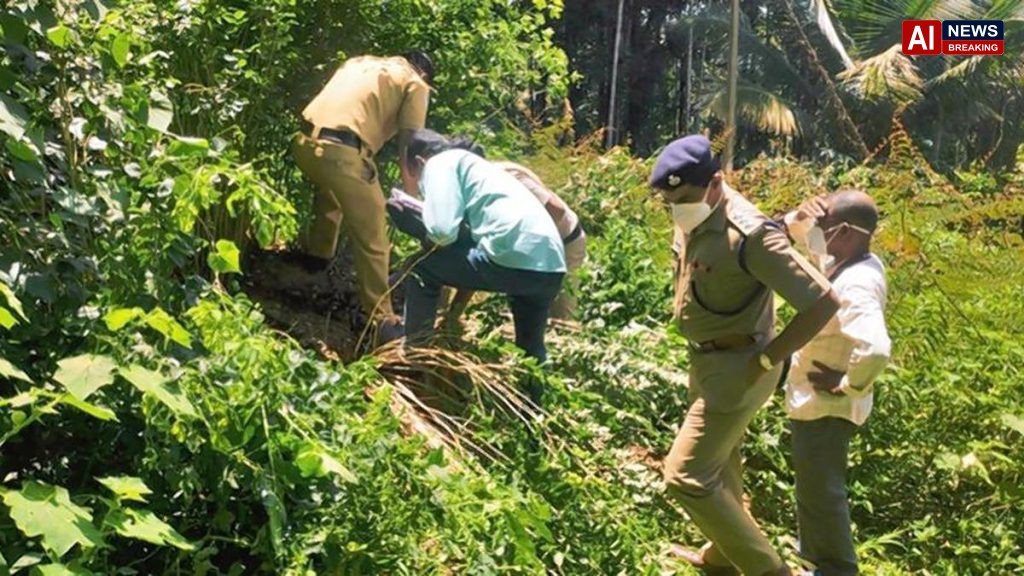 Kerala Muttil tree-felling case: two accused surrender before Chottanikkara court in cheating case