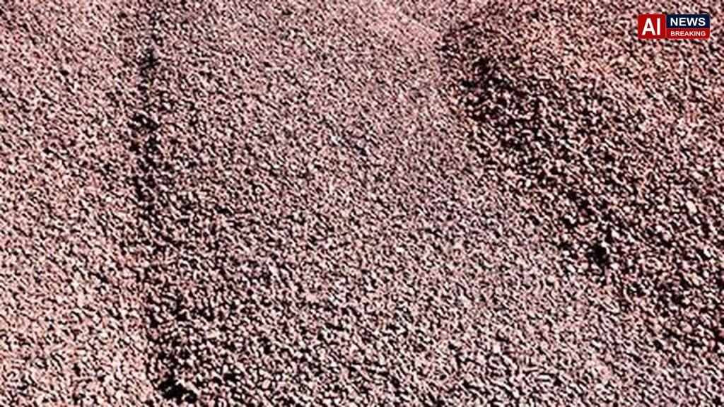 APMDC, JSW Steel to Fast-Track Iron Ore Mining in Prakasam District Following Consent